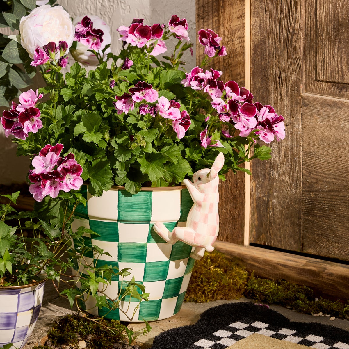 Rosy Check Funny Bunny Pot Climber - Image 5