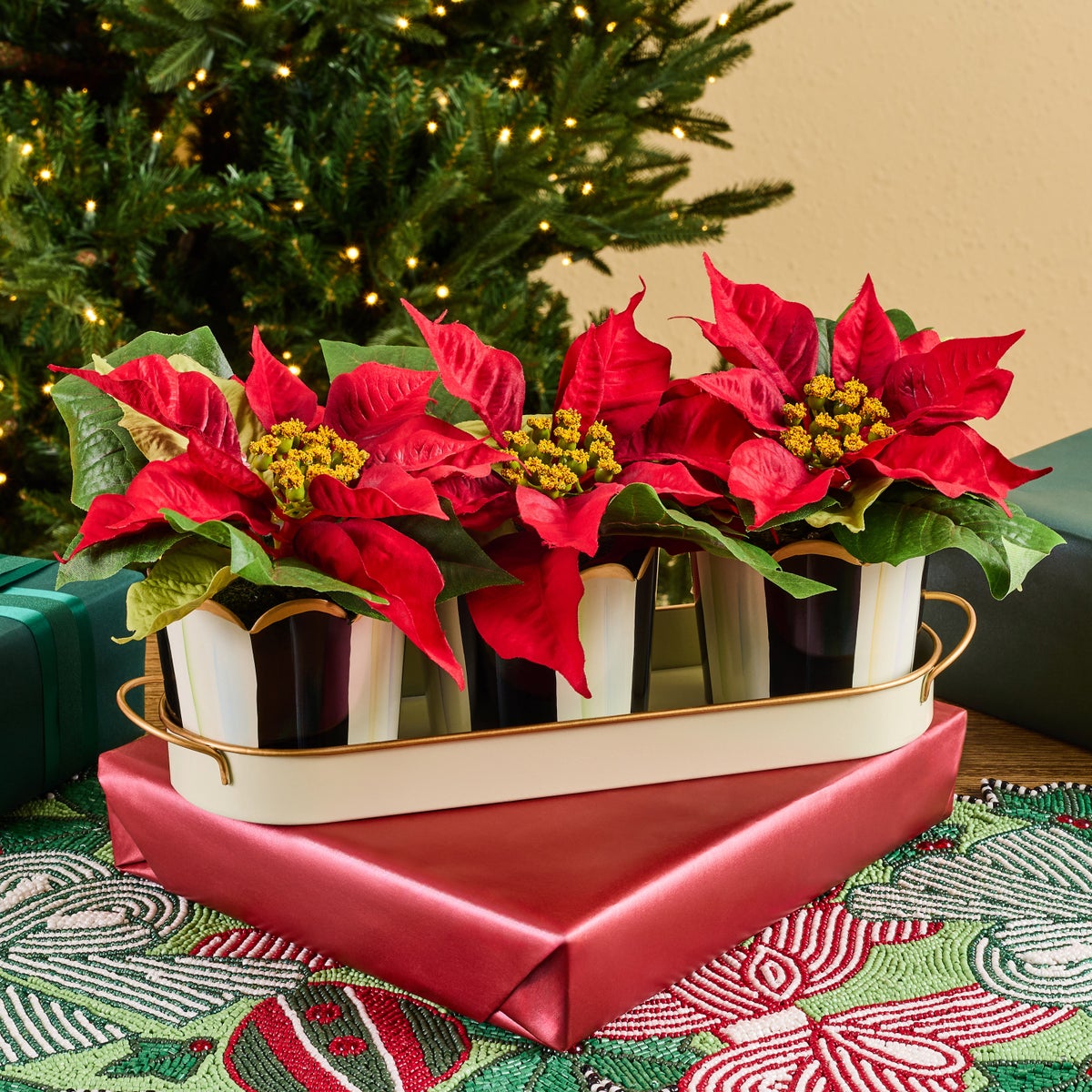 Courtly Stripe Poinsettia Triple Potted Blooms - Image 2