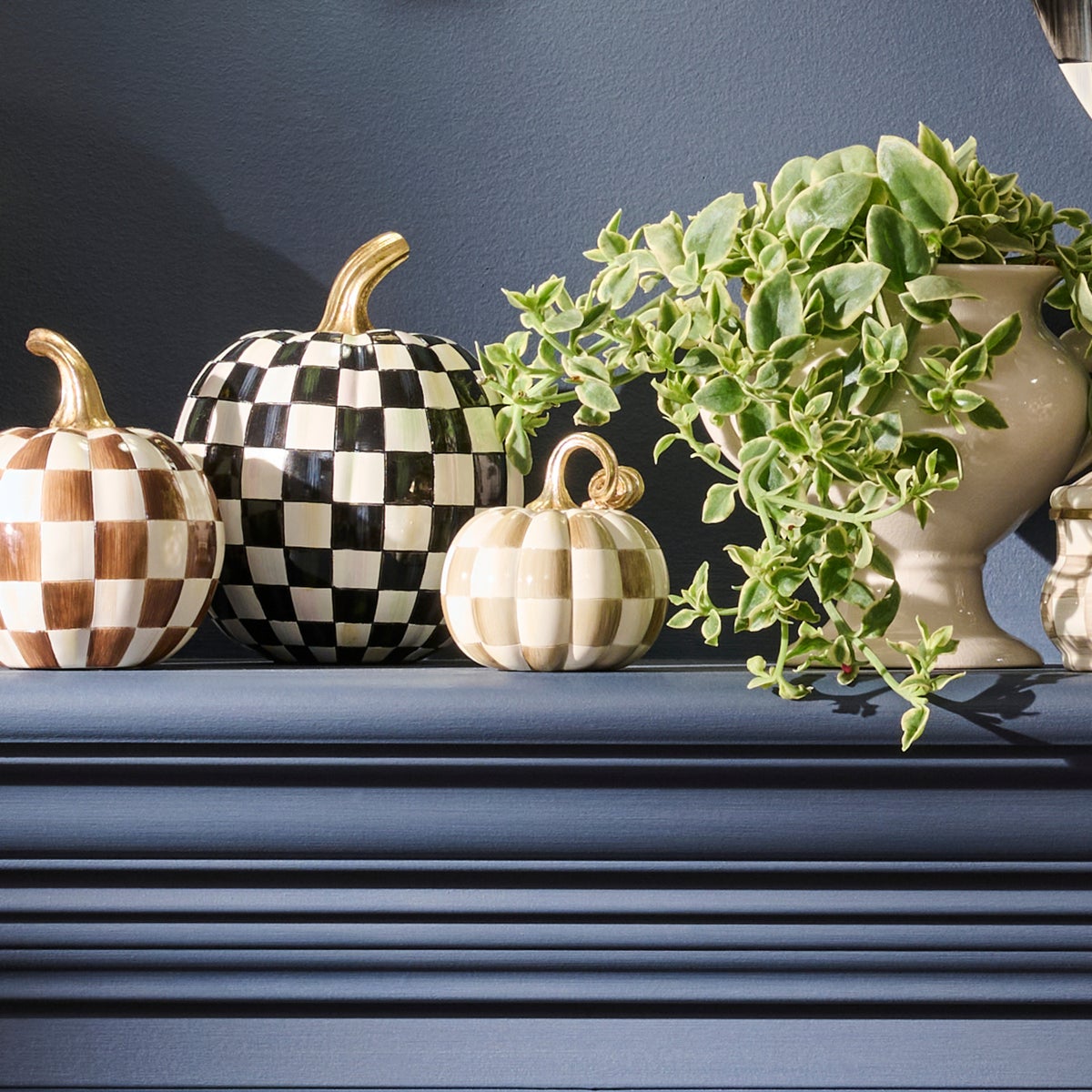 Mocha Check and Stripe Petite Pumpkins, Set of 2 - Image 4