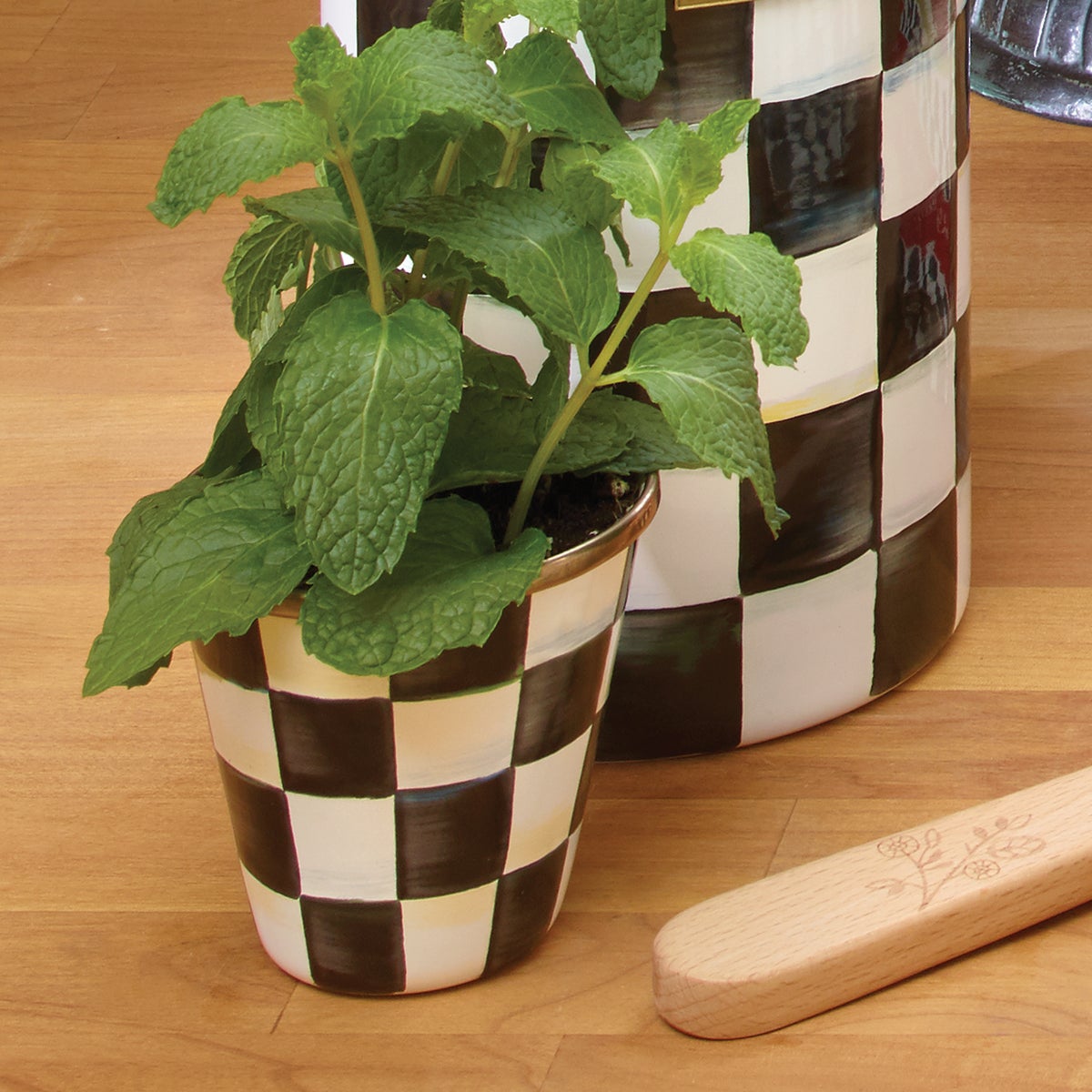 Courtly Check Herb Pots, Set of 3 - Image 7