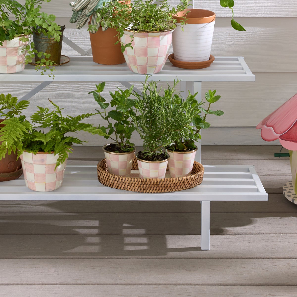 Rosy Check Herb Pots, Set of 3 - Image 2