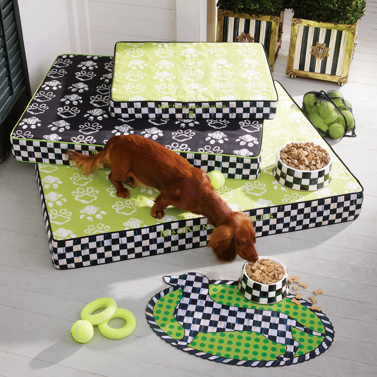 Courtly Check Medium Pet Dish - Image 7