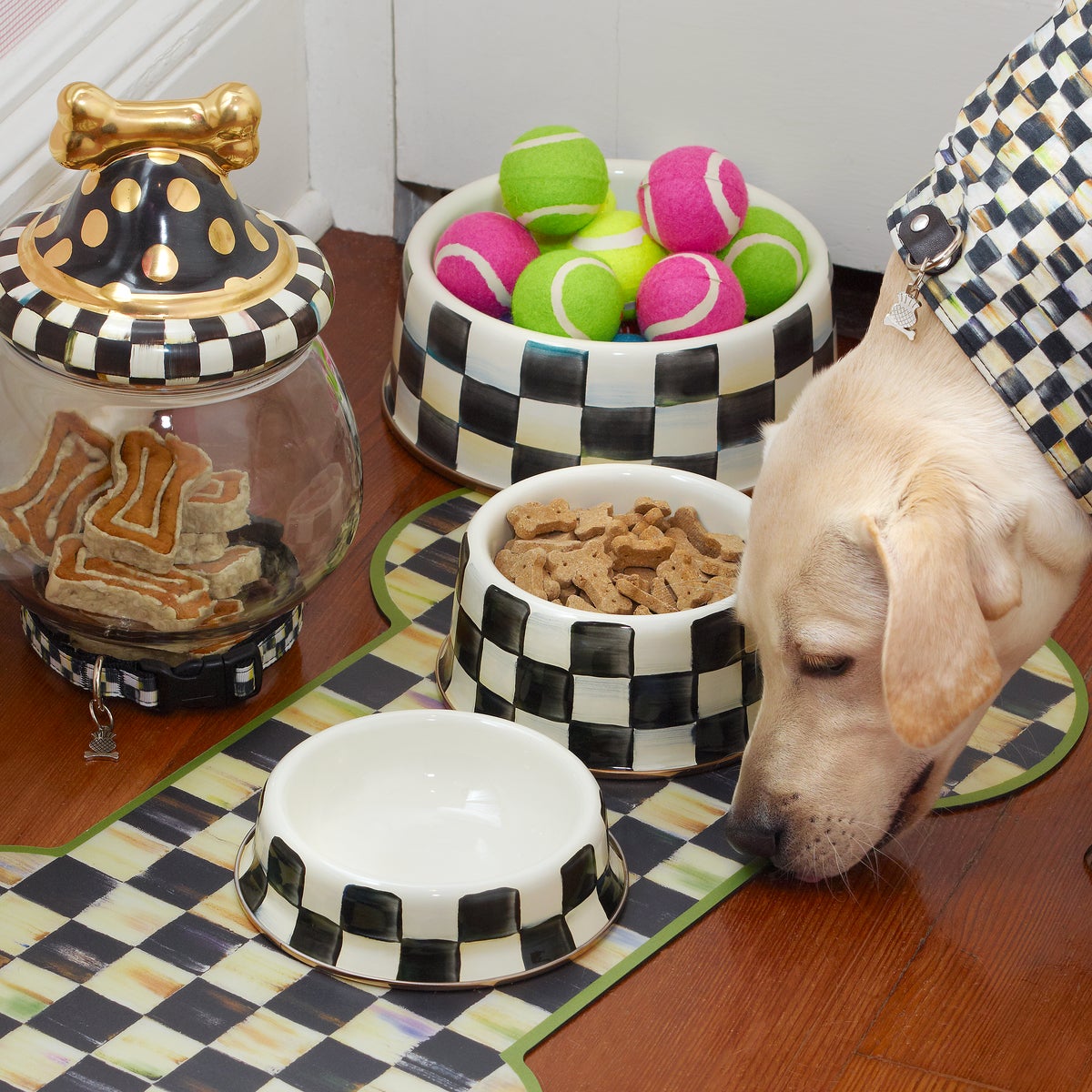 Courtly Check Large Pet Dish - Image 6